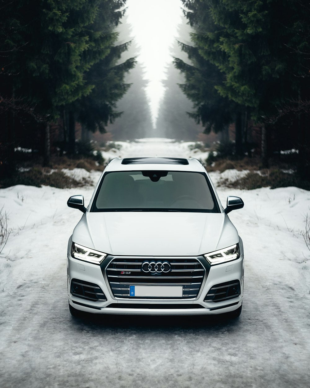 Slim LED license plate surround with built-in LEDs for nighttime
