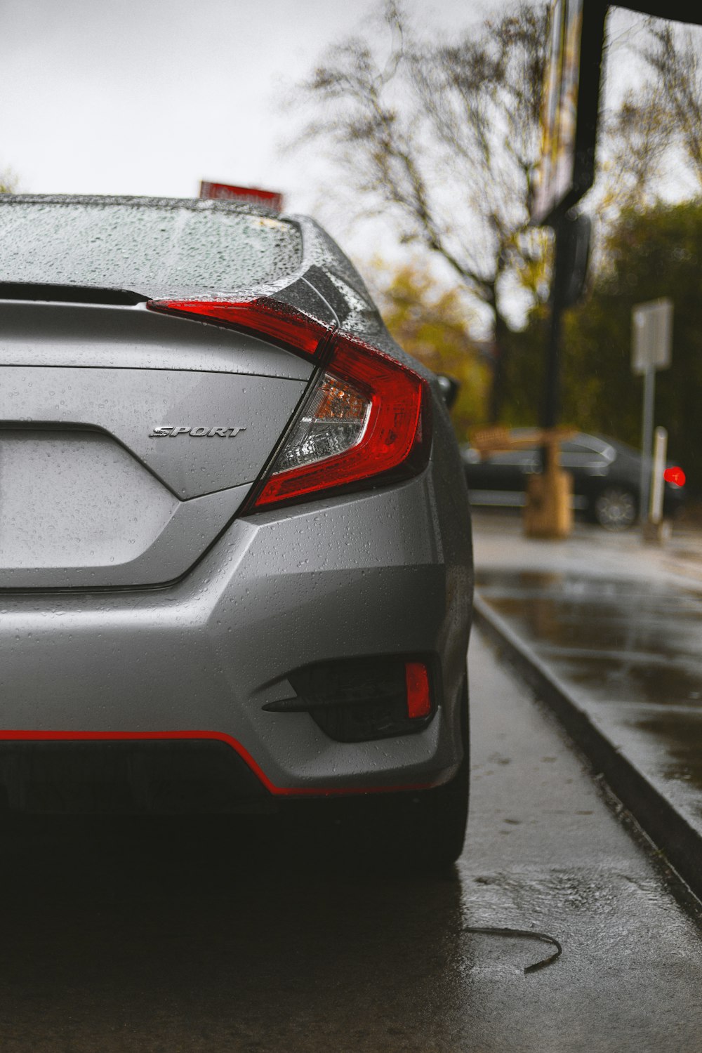 Car rear taillight and bumper