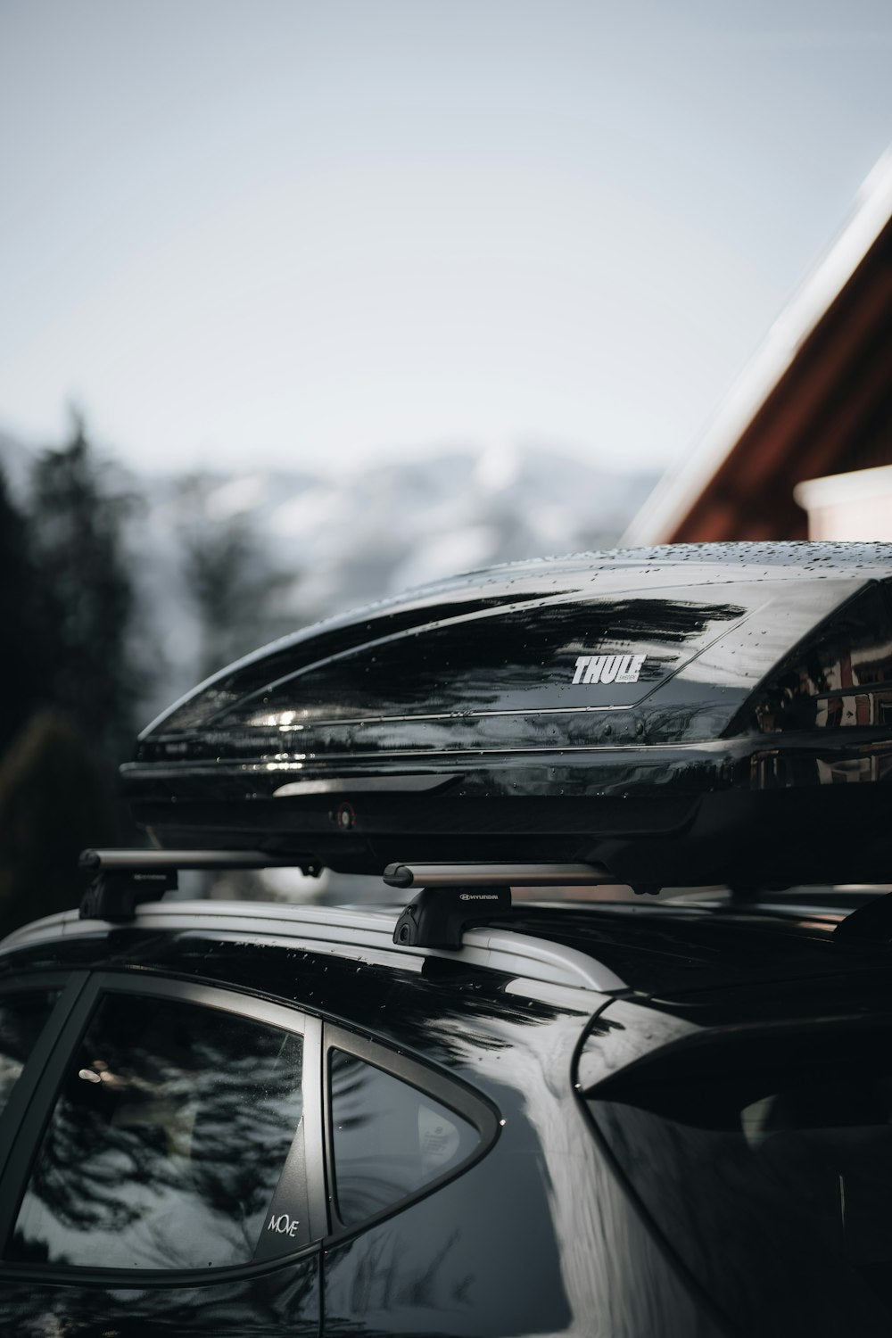 Car with roof rack and step bars