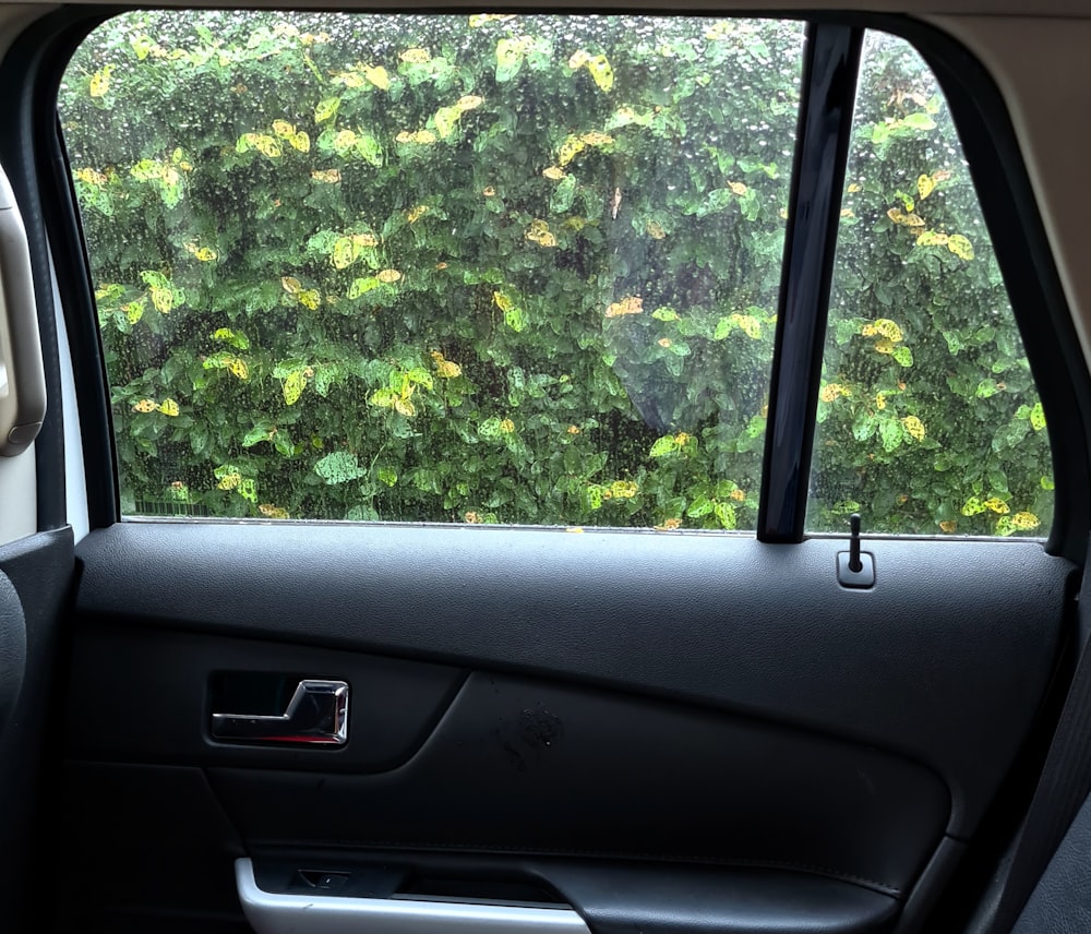 View through car window with sun shade