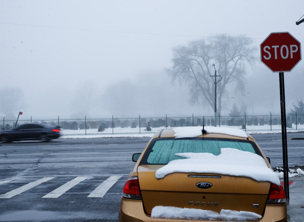Car covered in snow